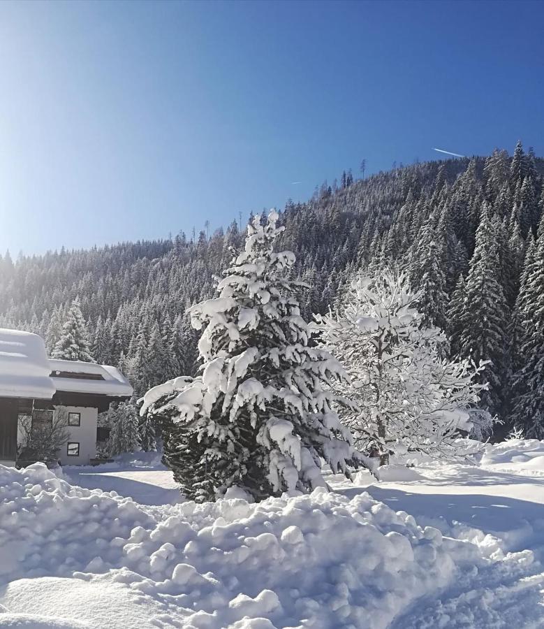 Pension Walchauhof Flachau Kültér fotó