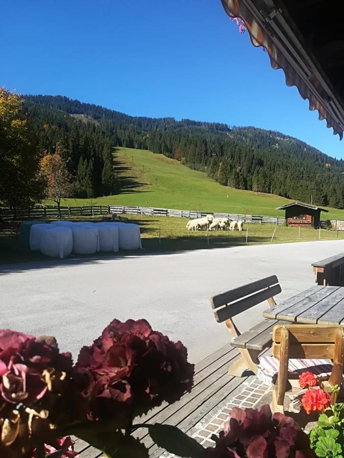 Pension Walchauhof Flachau Kültér fotó