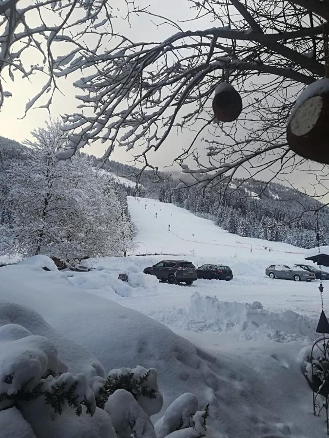 Pension Walchauhof Flachau Kültér fotó