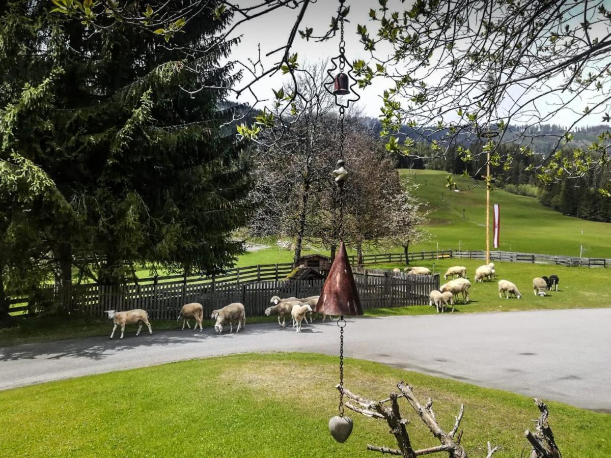 Pension Walchauhof Flachau Kültér fotó
